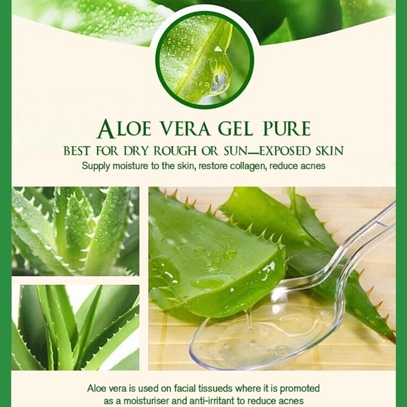 Aloe Vera  Natural - Picture 3 of 5